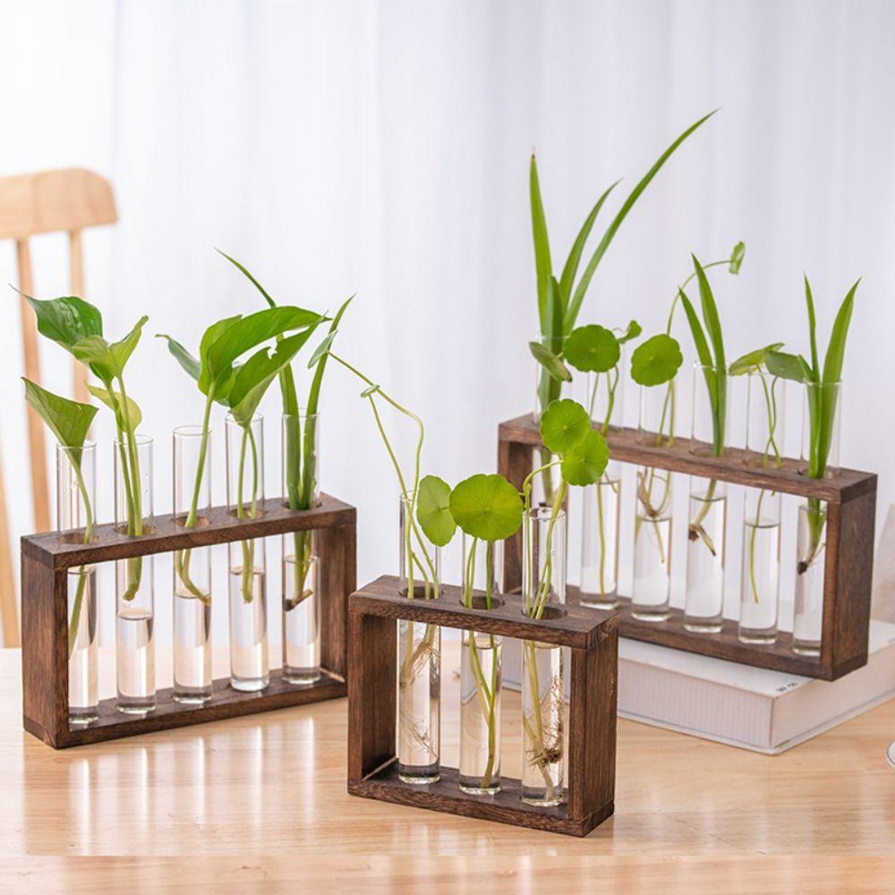 Wood Frame Test Tube Vases Transparent Glass Glass Planter Hydroponic Plants Container  Home Decor
