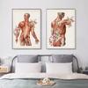 Human Body Muscle Structure Wall Art Canvas Painting Retro Anatomy Medical Print Posters Education Picture Study Room Decoration