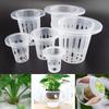10Pcs Plant Grow Net Nursery Pots Hydroponic Colonization Mesh Cup Plant Soilless Greenhouse Plastic Basket Holder