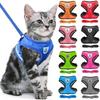 Шлейка для кошек и собак, регулируемый жилет, прогулочный поводок для щенков, ошейник для собак, шлейка из полиэфирной сетки для маленьких и средних собак, кошек, домашних животных
