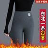 Thickened Camel Wool Thermal Pants Outer Wear Cotton Pants Autumn and Winter New Gray Velvet Leggings