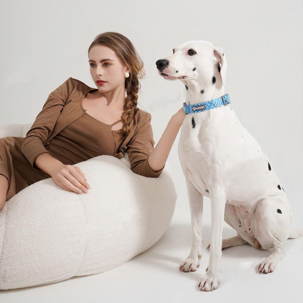 Светоотражающий ошейник для собак в ночное время Нейлоновые ошейники для кошек Аксессуары для домашних животных Ошейник для выгула собак Pet