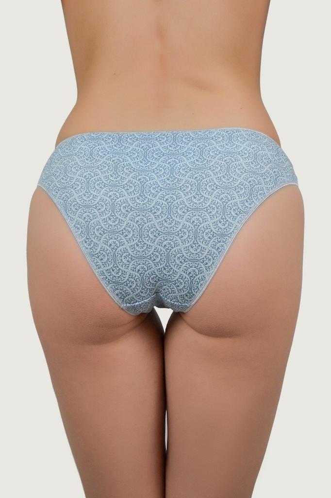 Roksana Slip Panties (86291)