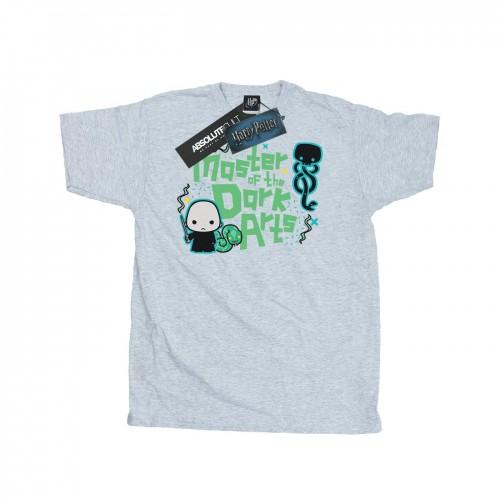 Harry Potter Mens Voldemort Dark Arts Junior T-Shirt