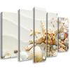 Five Piece Picture Canvas Print Starfish and Shells