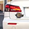 3D Tiger Car Sticker, Fun Waterproof Sticker for Cars, Trucks, Motorcycles, Walls, Windows, PVC Material