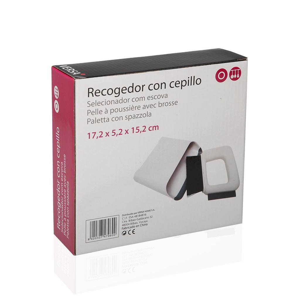 VERSA 21890053 Dustpan with Brush