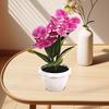 Искусственное растение в горшке Реалистичная имитация цветка Яркий цвет Искусственная орхидея-бабочка Бонсай