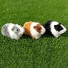 Lifelike Simulation Fur Guinea Pig Hamster Plush Toy New Stuffed Animal Figurine Kids Gift