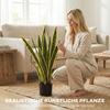Artificial Snake Plant Large 77 cm Artificial Plant in Pot for Living Room Gift