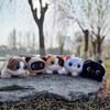 Плюшевая игрушка кошка, черно-белая, с коротким мехом, с большими глазами, для детей и коллекционеров