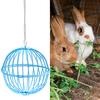 Подвесная кормушка для кур, хомяков, кроликов, мяч для лакомства, овощная гирлянда, держатель для фруктов и птицы с регулируемой высотой, цепь из нержавеющей стали, простая сборка