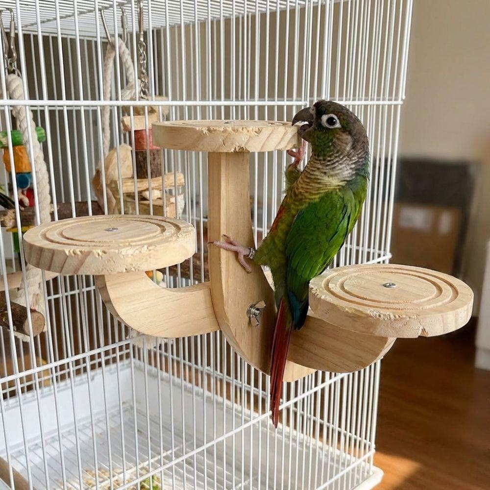 Wear Resistant Parrot Play Rack Parrots Ladder Parrot Perch Platform Beak Grinding Toy Bird Cage