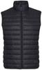 Куртка Jack Wolfskin JWP Vest M (1204653) черный