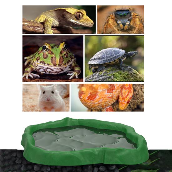 Кормушка для рептилий Террариумная миска Миска для корма и воды для черепахи, ящерицы, геккона, бородатой агамы
