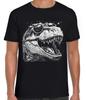 Dinosaur Going Extinct T Rex Asteroids Jurassic Weird Gift Black T Shirt 402