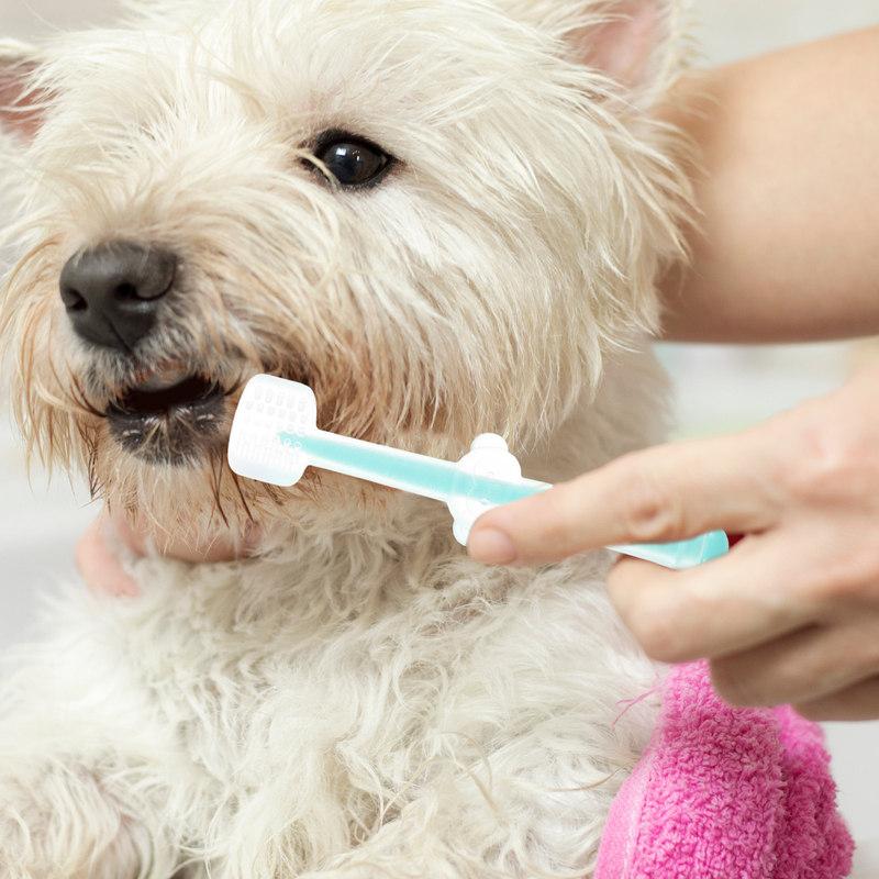 Pet Silicone Toothbrush for Dogs Soft Small Breed Cleaner Brushing Kit Puppy Cat Oral Care Tools Doggy Toothbrush