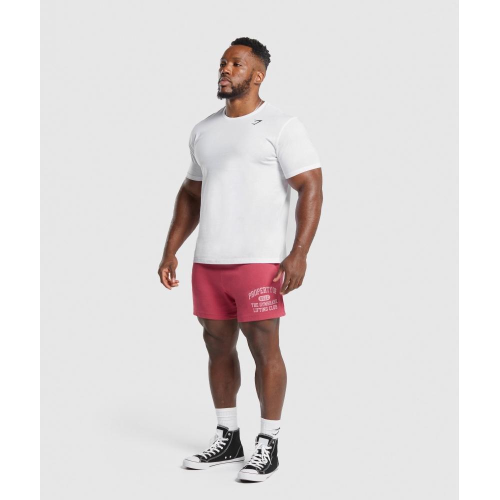 Gymshark Lightweight Jersey Shorts Vintage Pink A5a6j Kb0v