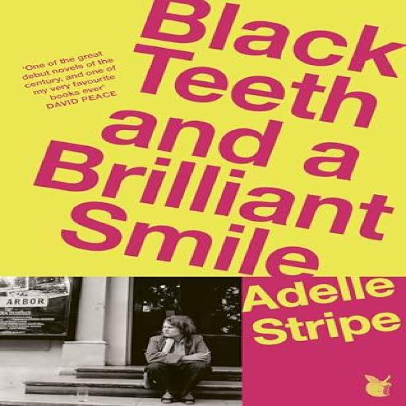 Black Teeth and a Brilliant Smile by Adelle Stripe Paperback Book 9780349020105