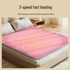 Bear Water-Heated Electric Blanket CN plug (adapter included)