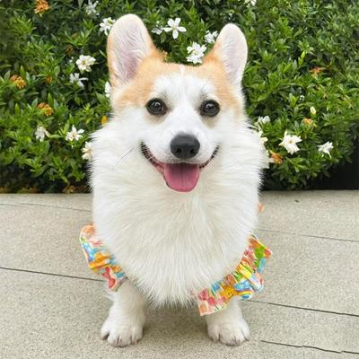 Одежда для питомцев весна и лето ультралегкая одежда для корги, одежда для питомцев, милая юбка в стиле принцессы с бантом