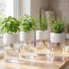 5/1pcs Round Hydroponic Plant Pots Hydroponic Transparent Indoor Plant Pots Decorative Containers Simulated Glass Vase Ornament