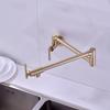 TLXT Wall-Mounted Folding Kitchen Faucet