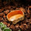 Tree Stump Shape Reptile Feeding Bowl Multicolor Reptile Bathtub  for Tortoises