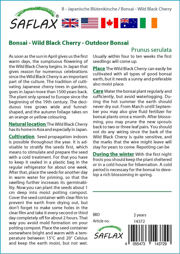 SAFLAX Garden in the Bag - Бонсай - Дикая черная вишня - 30 семян - С субстратом в подходящем пакете - Prunus serulata