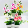 Durable Realistic Decorative Reusable Phalaenopsis Orchid Fake Flower with Pot Desktop Ornaments for Office Artificial Potted