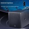 Huidu Professional Stage Subwoofer