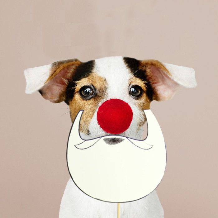MégaCréa DIY - Kit photobooth pour prendre des photos de famille sympa à Noël 8 pièces