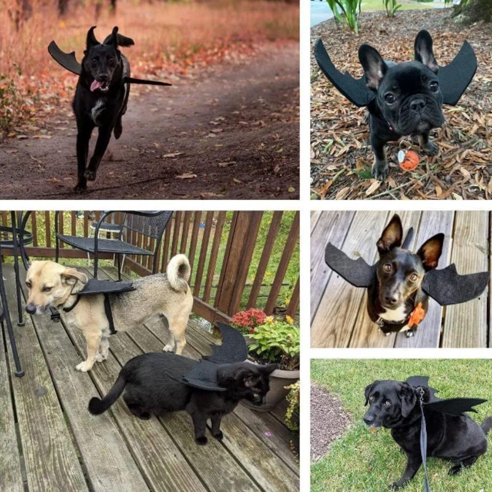 Black/Purple/Orange Cat Bat Wings Harness with Bell Dog Wings Costumes  Photo Props