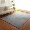 Grey Rugs Living Room Carpet Nonslip Bedside Coral Velet Rugs Large Soft Floor Rug Children Game Mat Rectangular Home Decoration