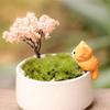 Decorations Random Color Home Figurines Micro Landscape for  Kitten Landscape Lazy Cats