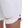 Nike Детские/Детские домашние шорты сборной Франции по футболу 2022/23