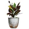 Plant Pot Self Watering Flower Planter for Flowers Plants Durable Plastic Nursery