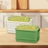 2Pcs Sprouts Tray Starter Multipurpose with Lids Reusable Growing Kit Sprouting Container for