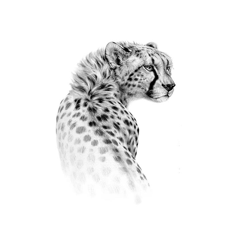 Голова тигра, голова волка, элемент татуировки, акварель, 3D, переносимый на воду, большой набор рисунков, водонепроницаемая наклейка для татуировки