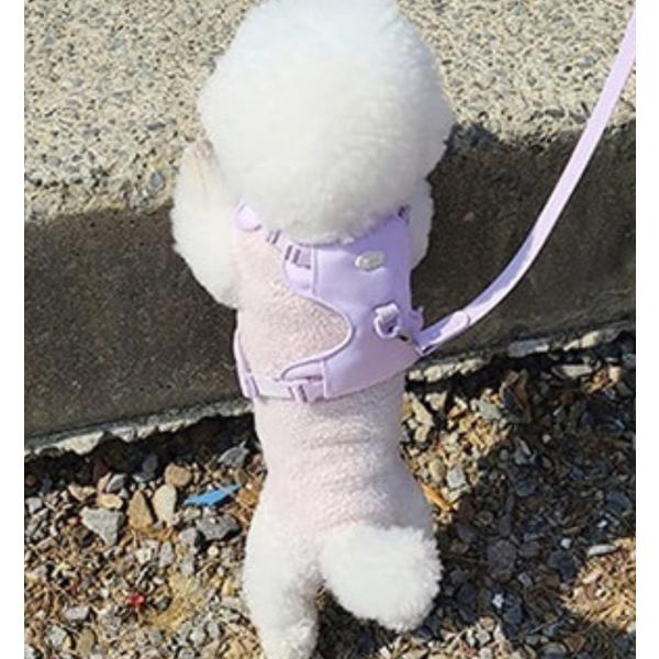 Arre My Fit Harness, лавандовый туман