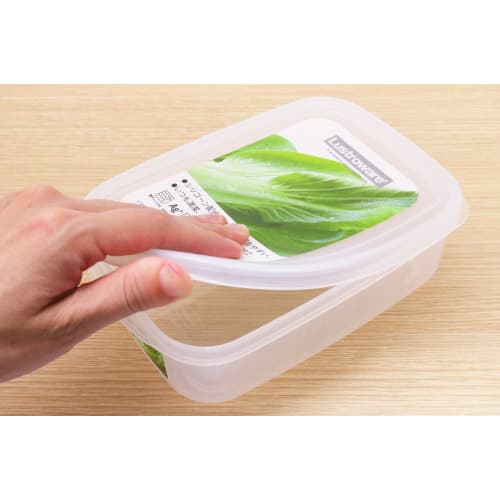 Iwasaki Kogyo Made In Japan Antibacterial Food Case XL B1716FR