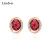 Lindon Women Copper Alloy Zircon Earrings Drop Earrings For Women Wedding Party Gifts