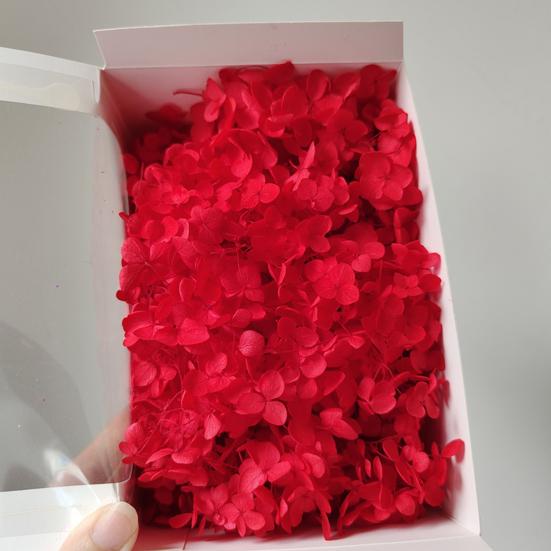 Модные сухие цветы гортензии без полива, легкие, добавляют атмосферы