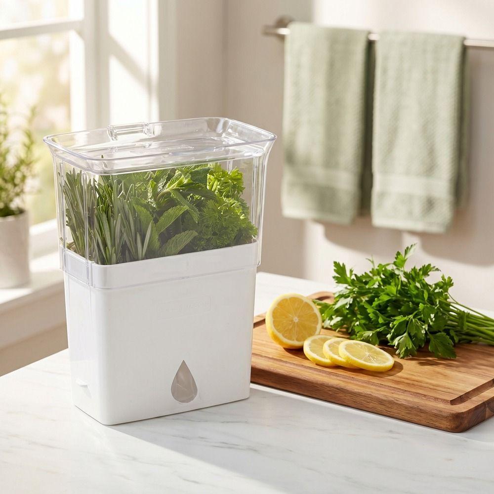 Plastic Fresh Herb Keeper Airtight Vanilla Bean Storage Box Vegetable Keeper Prolongs Produce Life