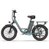 URLIFE E20 Multi Terrain Electric Bike For Adult 48V13Ah Battery 500W Motor E-Bike 20 Inch Fat Tires Urban Commuting Electric Bicycle With TowSeat