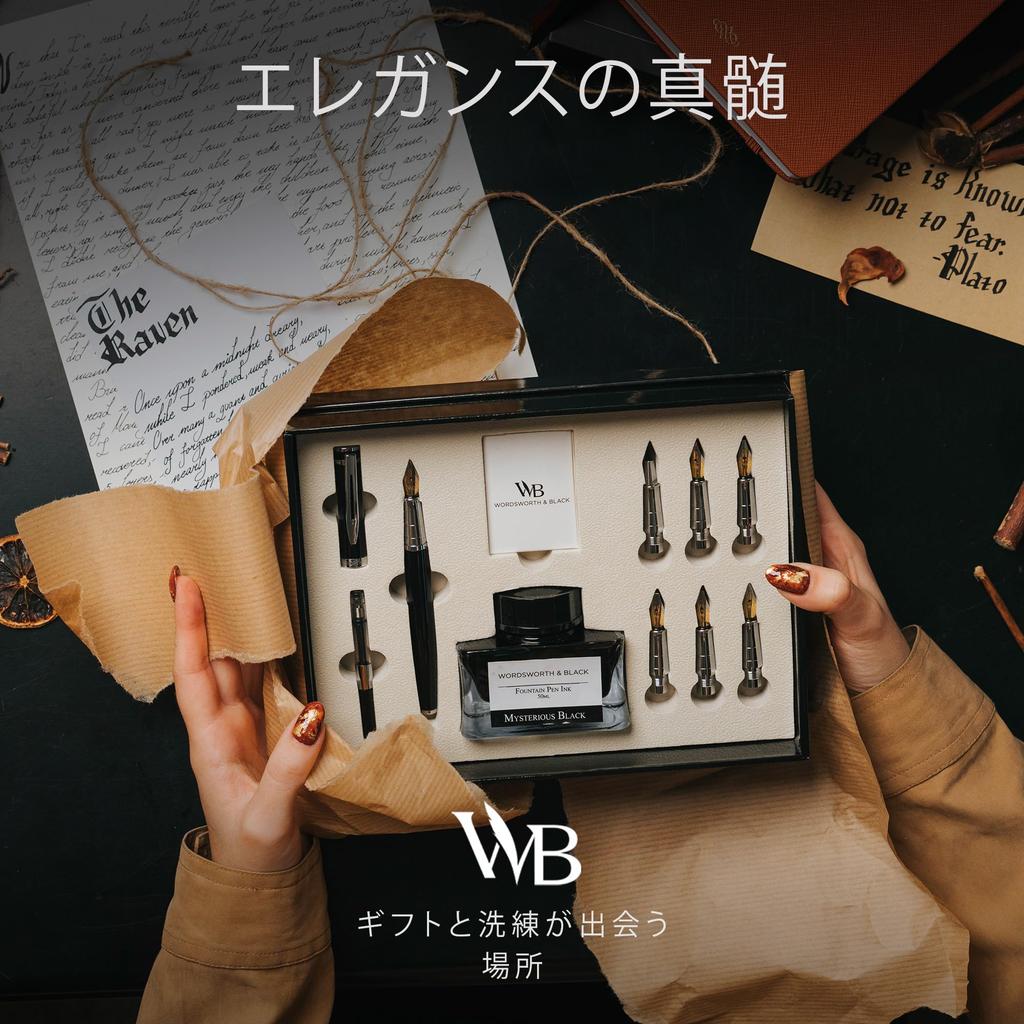 Подарочный набор каллиграфических ручек с чернилами, 6 стержней для чернил, 6 сменных ручек, премиум-упаковка, гладкая ручка для каллиграфии, черный хром, набор каллиграфических ручек