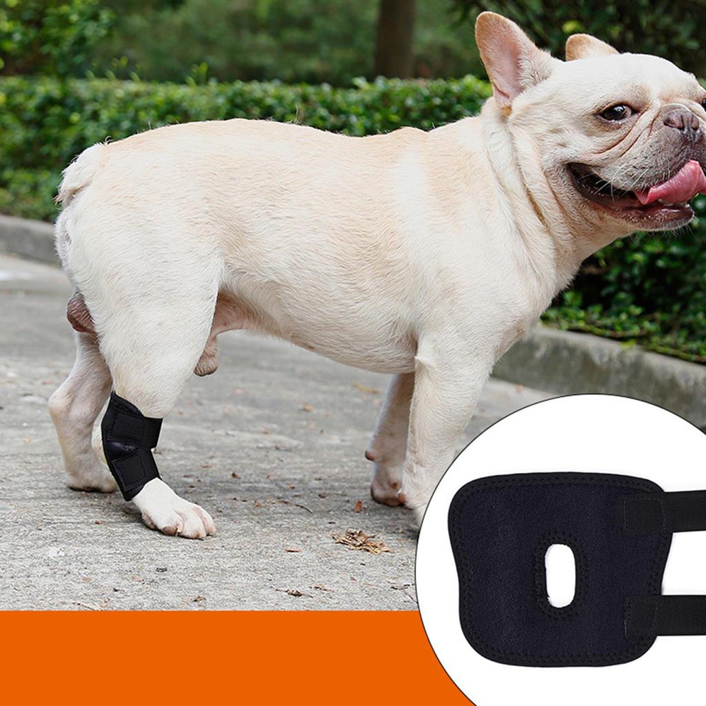 Dog Elbow Brace Wrap for Injured Limb Promotes Comfort Leg Support Wrap Pet Leg Wrap Joint Protector Dog Sleeves