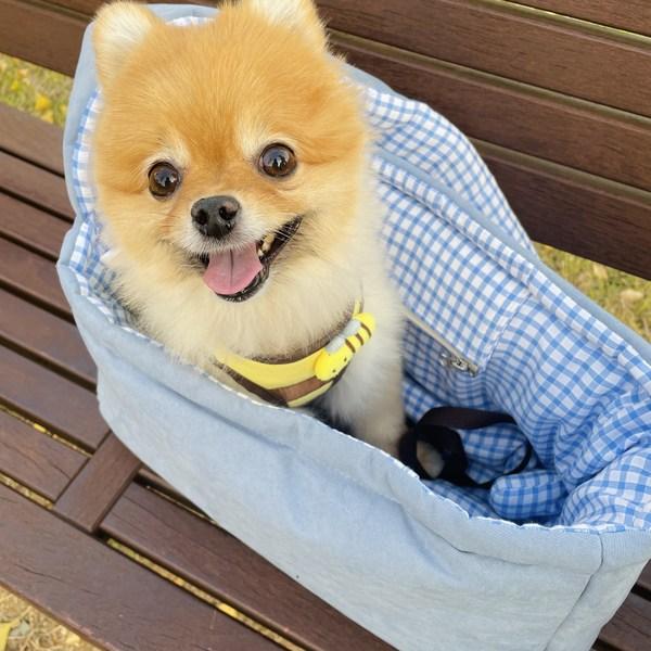 Gaegwacheonseon Pet Caso Мобильная сумка-слинг с подушкой, корейский шампунь для домашних животных