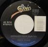 7-дюймовая пластинка TEENA MARIE - Surrealistic Pillow 3408040 Epic 1988 США Соул/Фанк Б/У