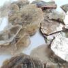 Natural Muscovite Flake Mineral Specimen Experimental Teaching Mica Sheet Specimens Glass Luster Collection Decorative Mine